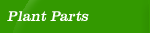 Plant Parts